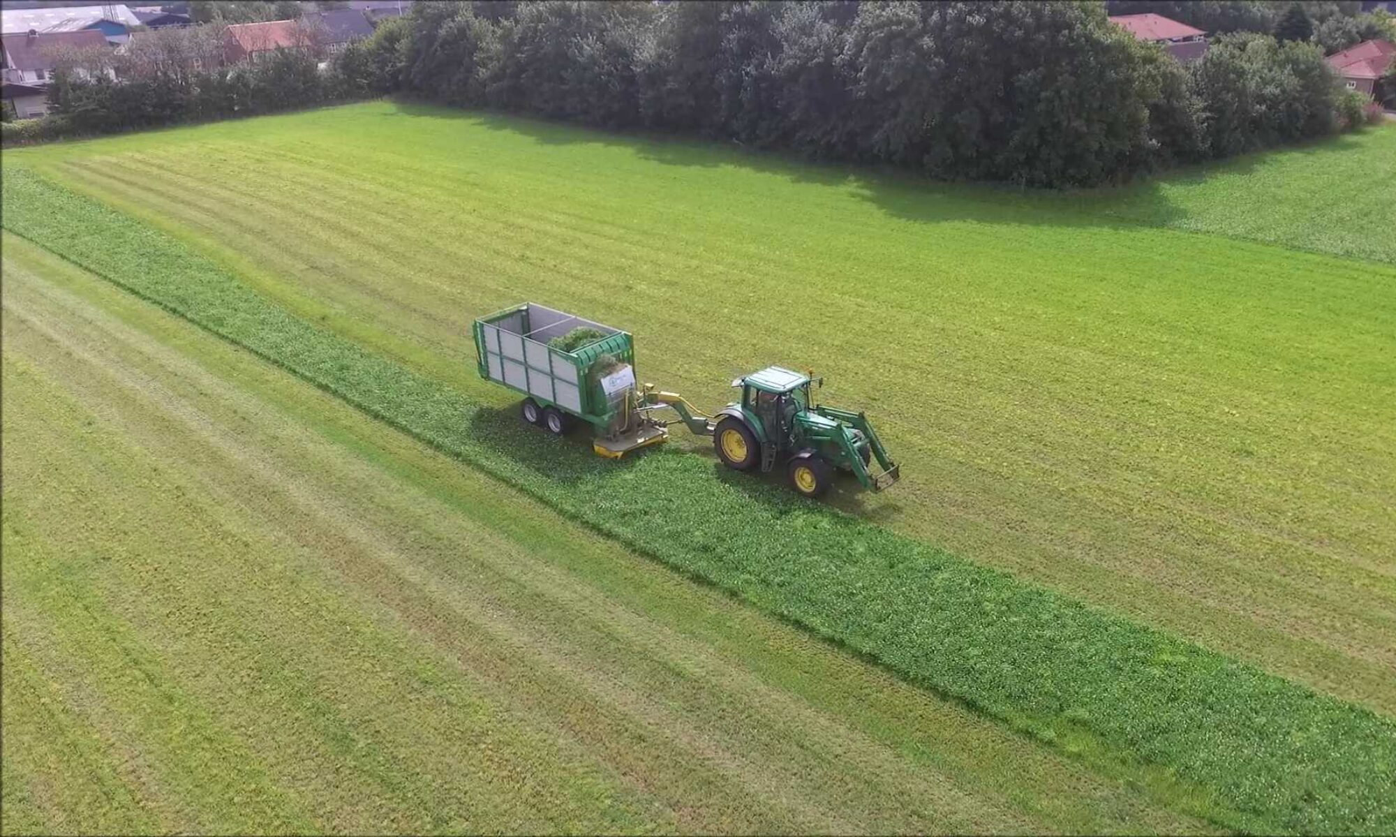 MaksiGrass®